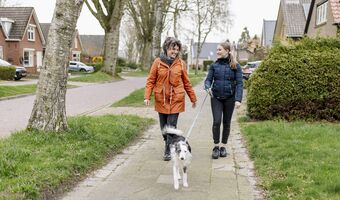 Bij Alliade zijn wij op zoek naar pleegouders. Dit noemen wij meeleefouders. 