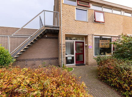 Dagbesteding Wille 