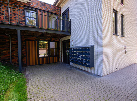 Rond 53 