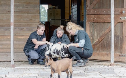Natuur & Dieren